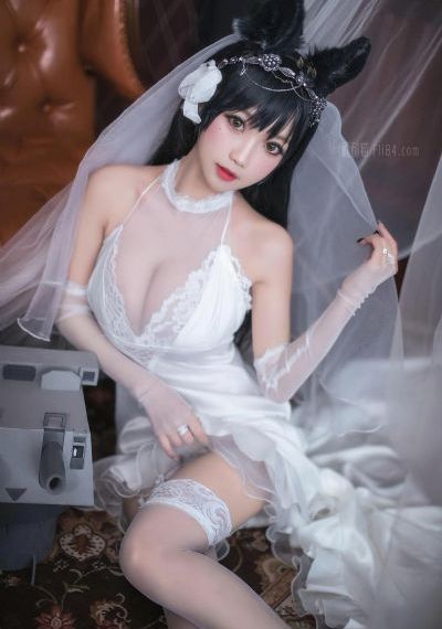 海底小纵队第八季免费观看完整版_国产剧免费播放