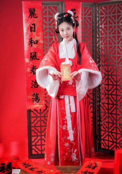 一仆二主48集电视连续剧爱奇艺_720神马在线观看